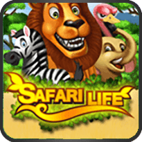 safari life